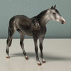 Goose OOAK Dappled Grey Thoroughbred Chip By Jess Hamill EQ24