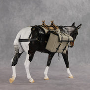 Gallivant LE-15 FCM Large Mule by Anna Rieck and Carissa Mathews PFP26