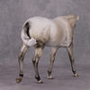 Demuresty OOAK Dappled Grey Mule By Dawn Quick HS24 MHP Auction Piece