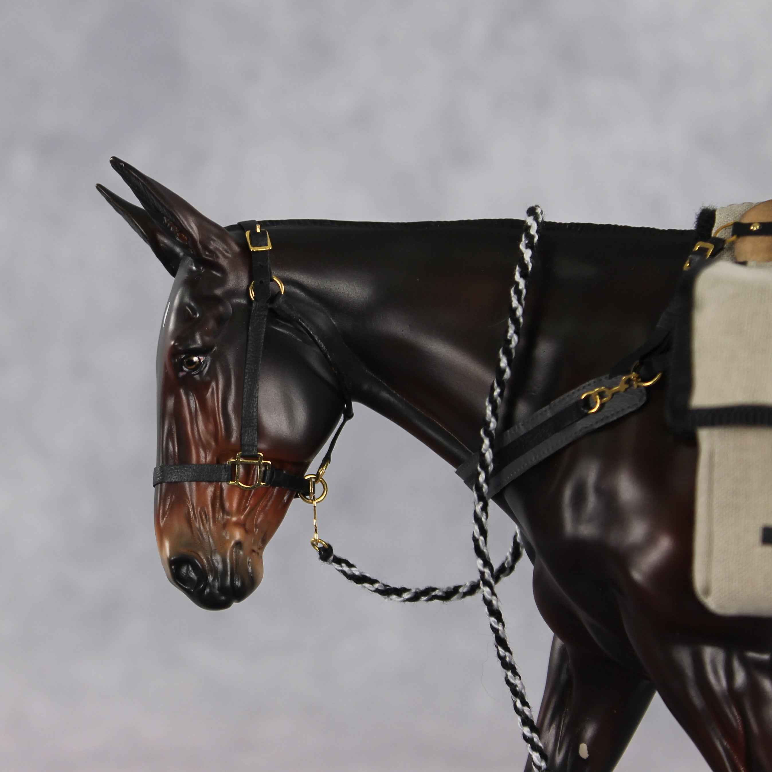 Gallivant LE-15 FCM Large Mule by Anna Rieck and Carissa Mathews PFP26