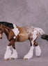 "Cinnamon Sugar" OOAK FCM Irish Cob by Dawn Quick EQ25