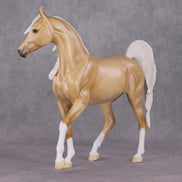 Winter Sunshine OOAK Dunalino with Blue Interference Arab Mare By Ellen Robbins HS24