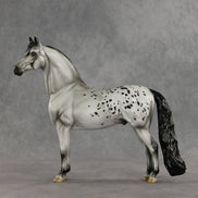 Daniel Hay Lewis OOAK FCM Morgan by Jess Hamill DDOOAKs26