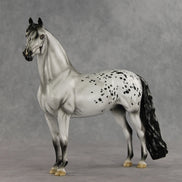 Daniel Hay Lewis OOAK FCM Morgan by Jess Hamill DDOOAKs26