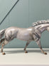 Airport Prosecco OOAK Fleabitten Grey Remy By Julie Keim EQ24