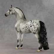 Daniel Hay Lewis OOAK FCM Morgan by Jess Hamill DDOOAKs26