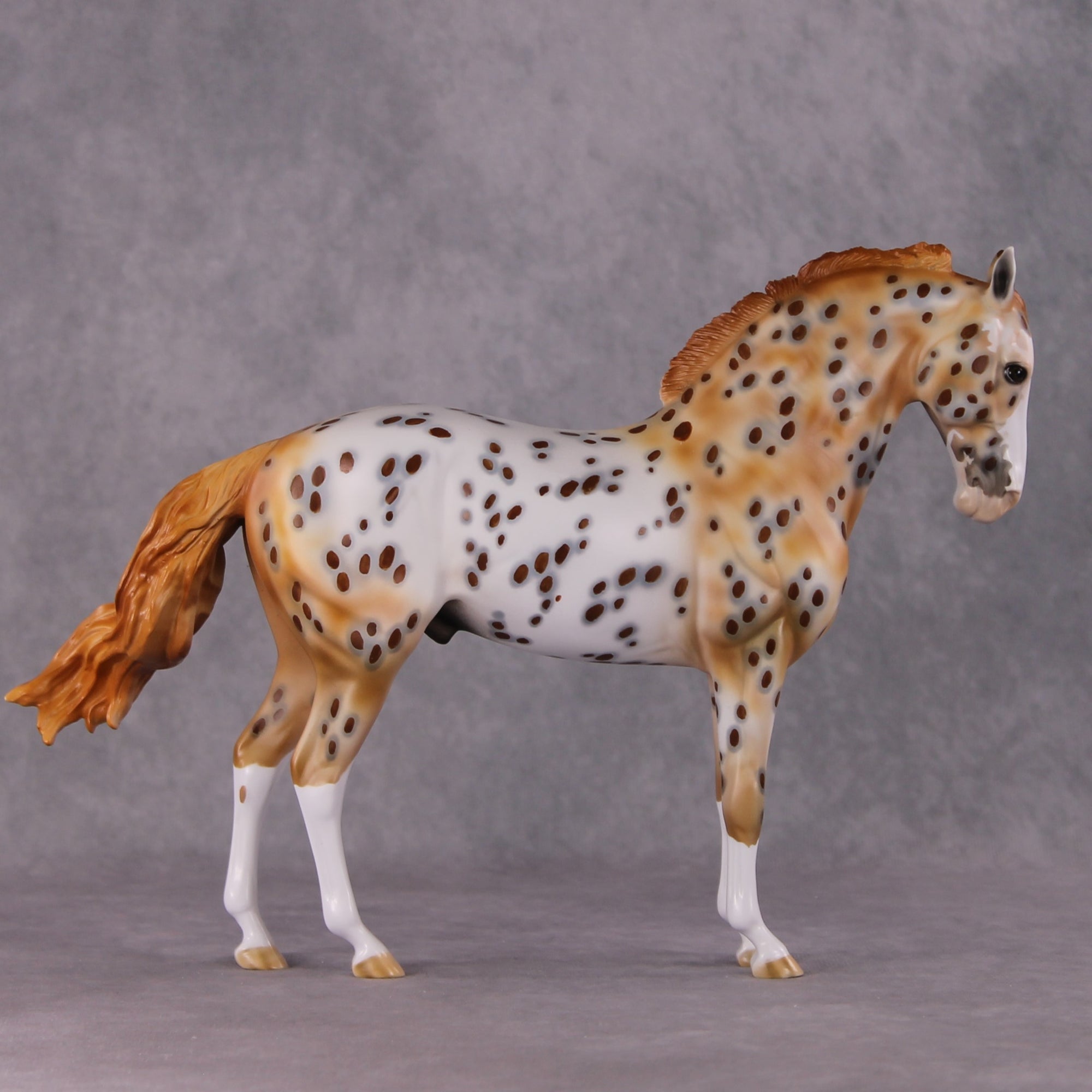 "Dragonfruit" OOAK FCM Andalusian By Dawn Quick SHCF25