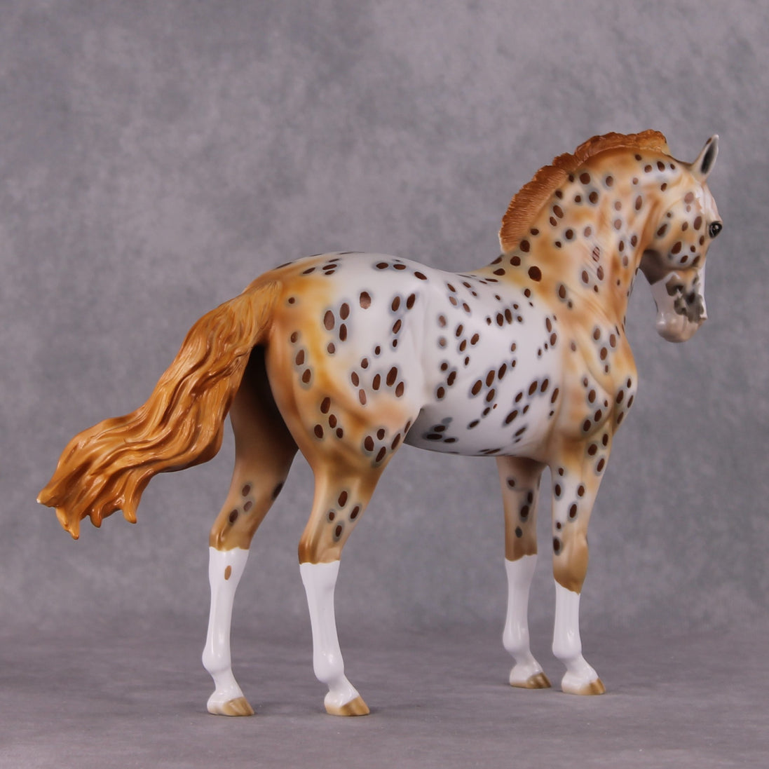 "Dragonfruit" OOAK FCM Andalusian By Dawn Quick SHCF25