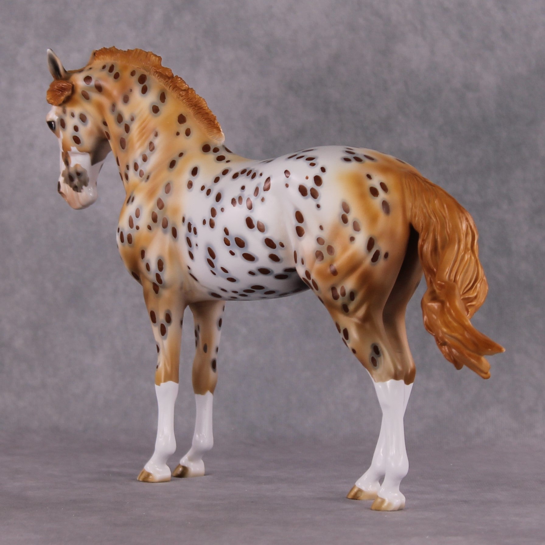"Dragonfruit" OOAK FCM Andalusian By Dawn Quick SHCF25