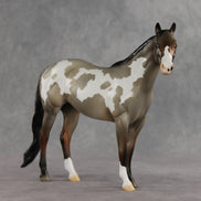 Crumb OOAK Ideal Stock Horse by Jess Hamill DDOOAKs26