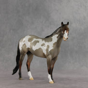 Crumb OOAK Ideal Stock Horse by Jess Hamill DDOOAKs26
