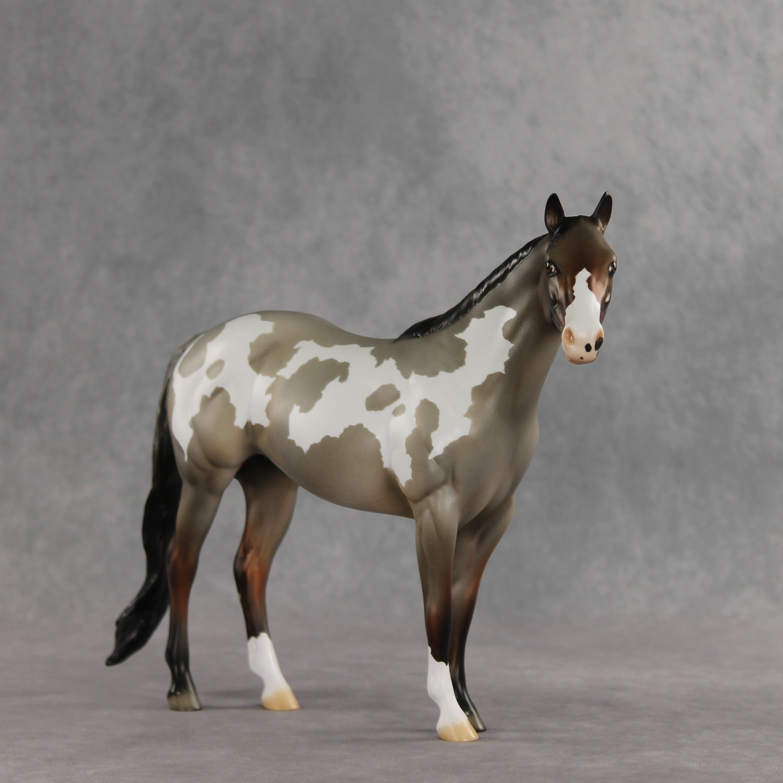 Crumb OOAK Ideal Stock Horse by Jess Hamill DDOOAKs26