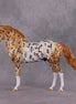 "Dragonfruit" OOAK FCM Andalusian By Dawn Quick SHCF25