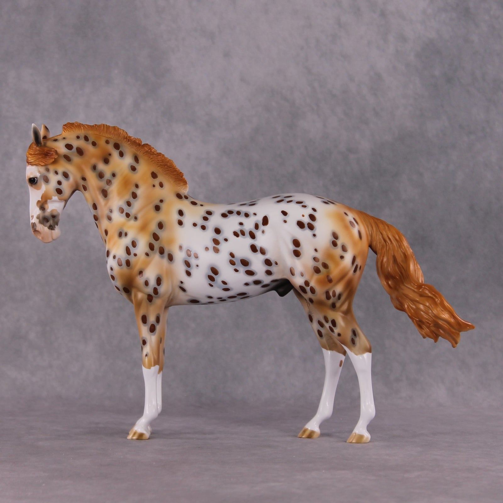 "Dragonfruit" OOAK FCM Andalusian By Dawn Quick SHCF25