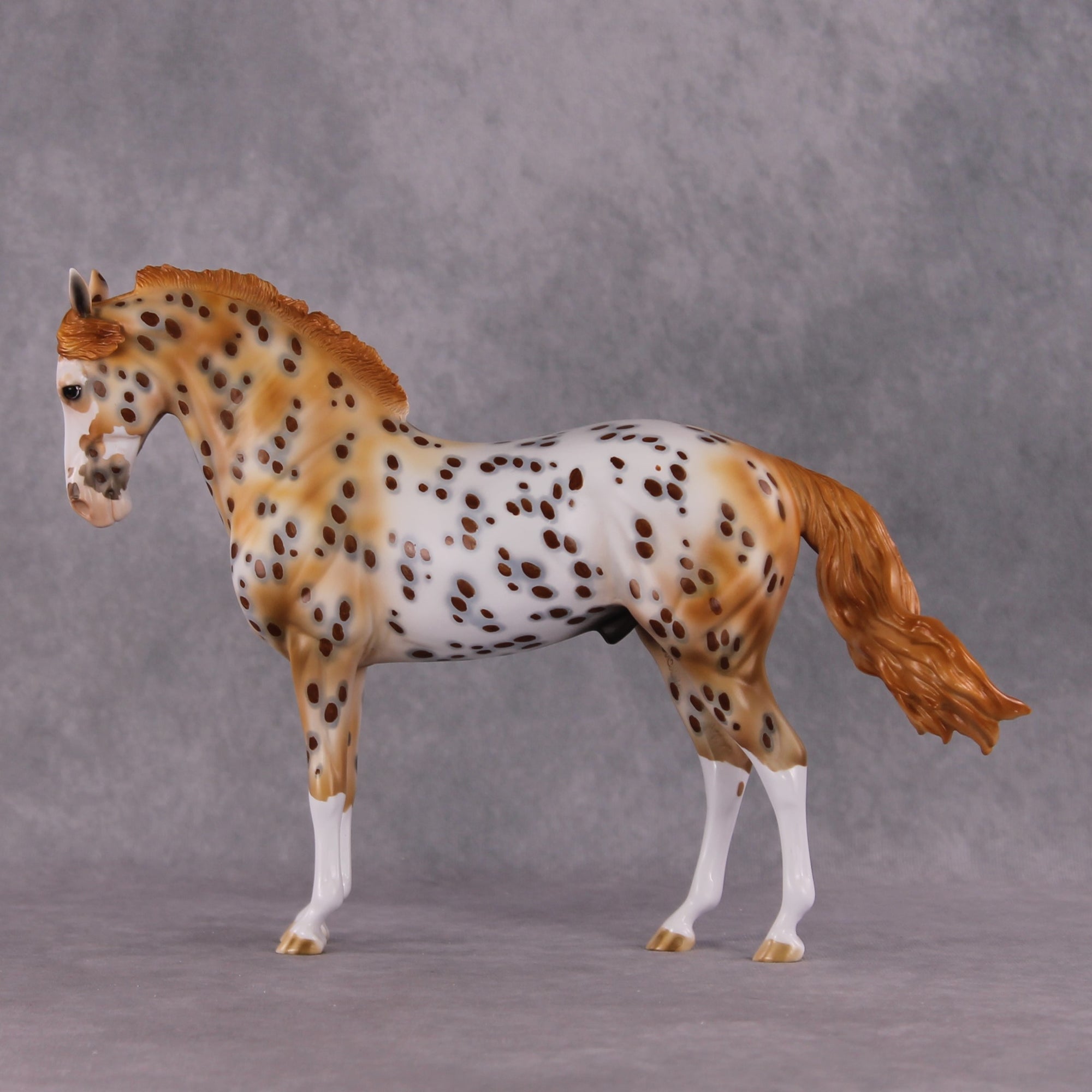 "Dragonfruit" OOAK FCM Andalusian By Dawn Quick SHCF25