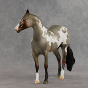 Crumb OOAK Ideal Stock Horse by Jess Hamill DDOOAKs26
