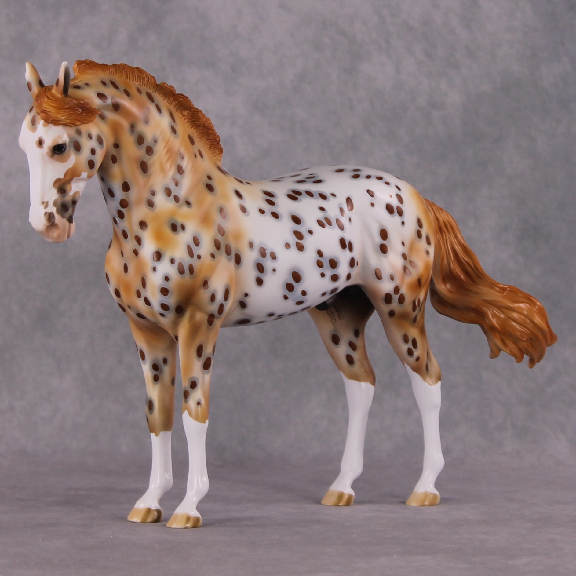 "Dragonfruit" OOAK FCM Andalusian By Dawn Quick SHCF25