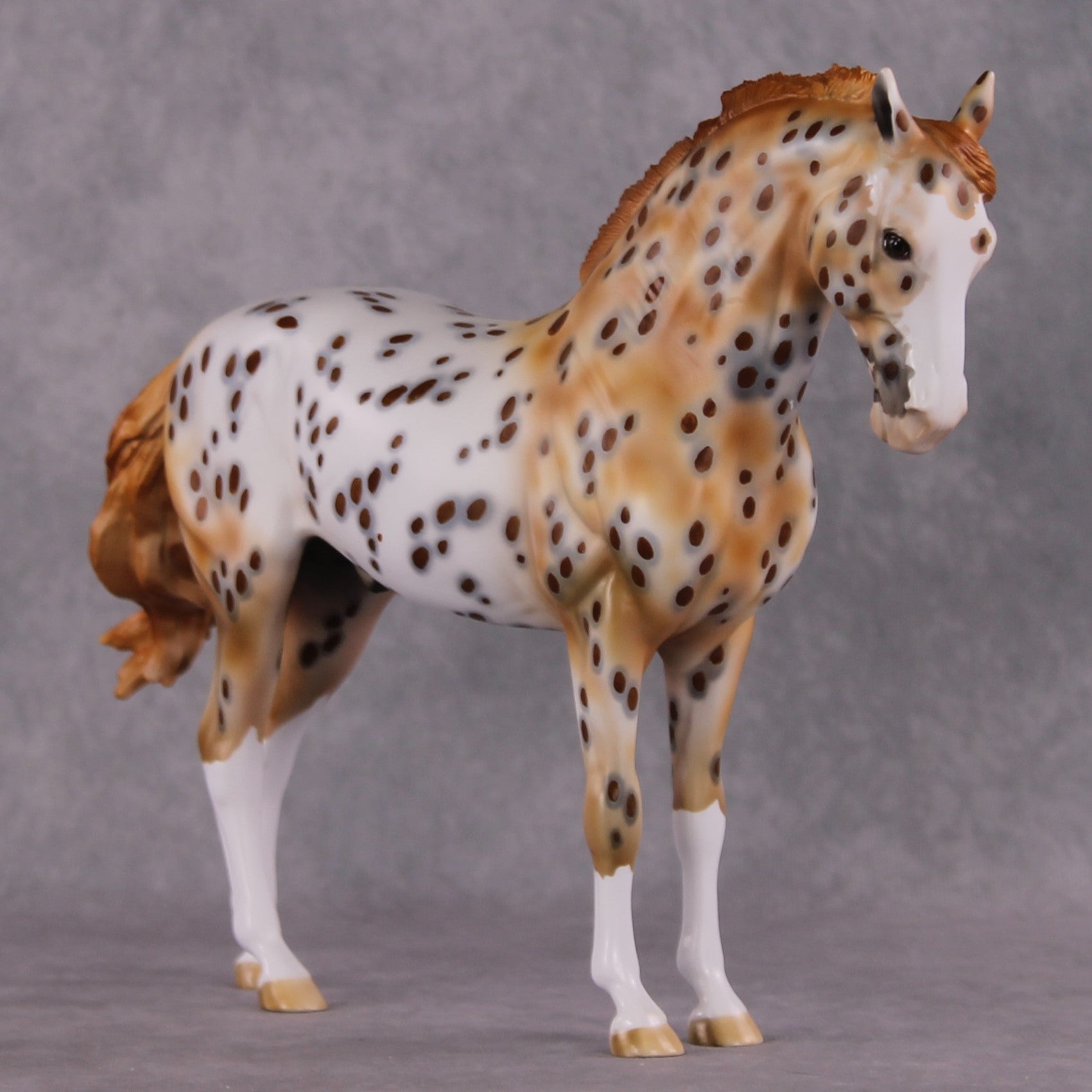 "Dragonfruit" OOAK FCM Andalusian By Dawn Quick SHCF25