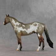Crumb OOAK Ideal Stock Horse by Jess Hamill DDOOAKs26