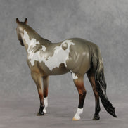Crumb OOAK Ideal Stock Horse by Jess Hamill DDOOAKs26
