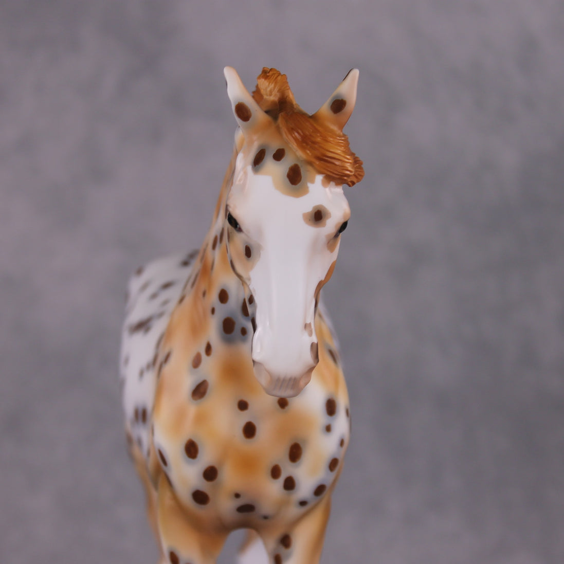 "Dragonfruit" OOAK FCM Andalusian By Dawn Quick SHCF25