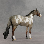 Crumb OOAK Ideal Stock Horse by Jess Hamill DDOOAKs26