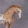 &quot;Dragonfruit&quot; OOAK FCM Andalusian By Dawn Quick SHCF25