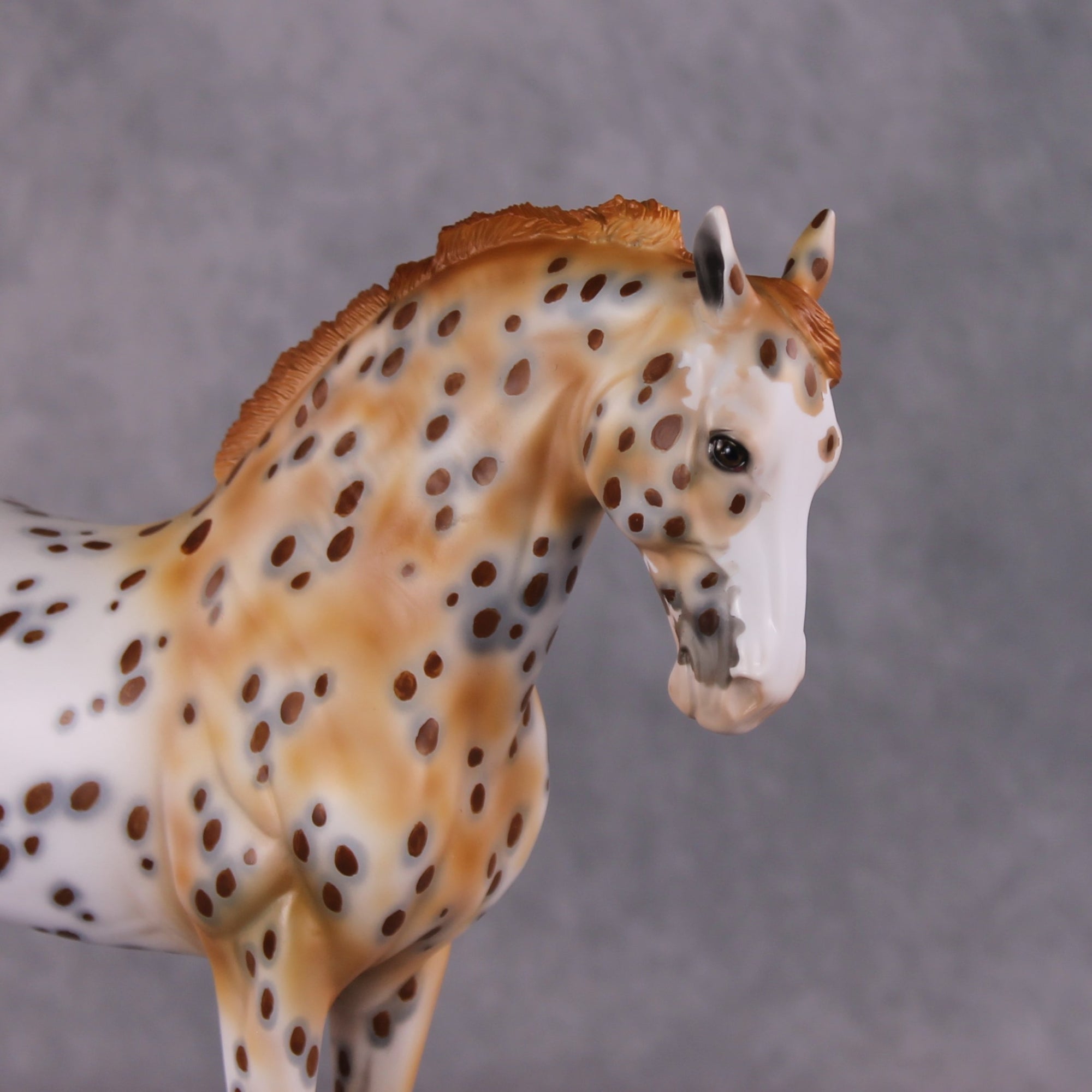 "Dragonfruit" OOAK FCM Andalusian By Dawn Quick SHCF25