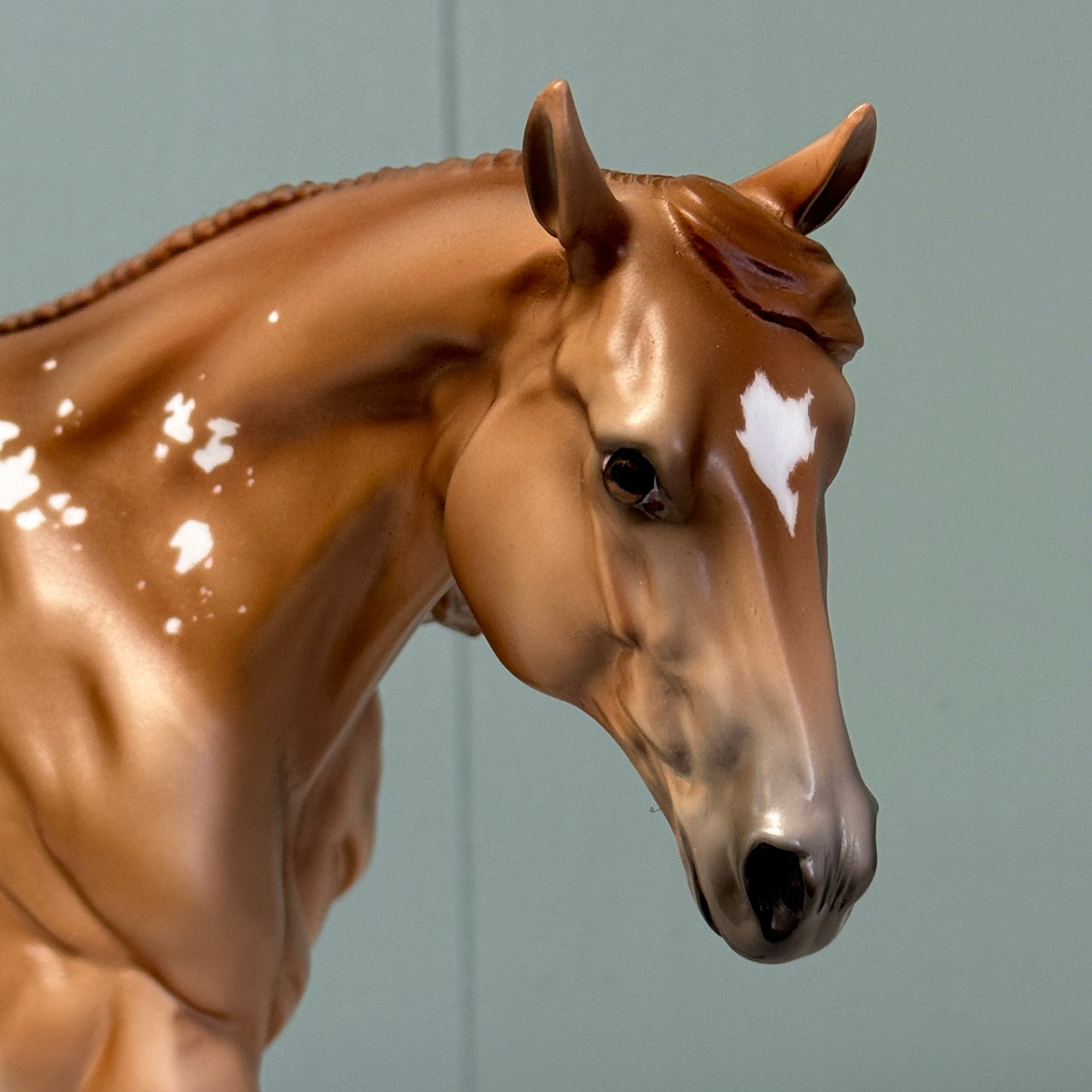 Rye OOAK Chestnut with Birdcathcher Spots Running Stock Horse By Jess Hamill EQ24