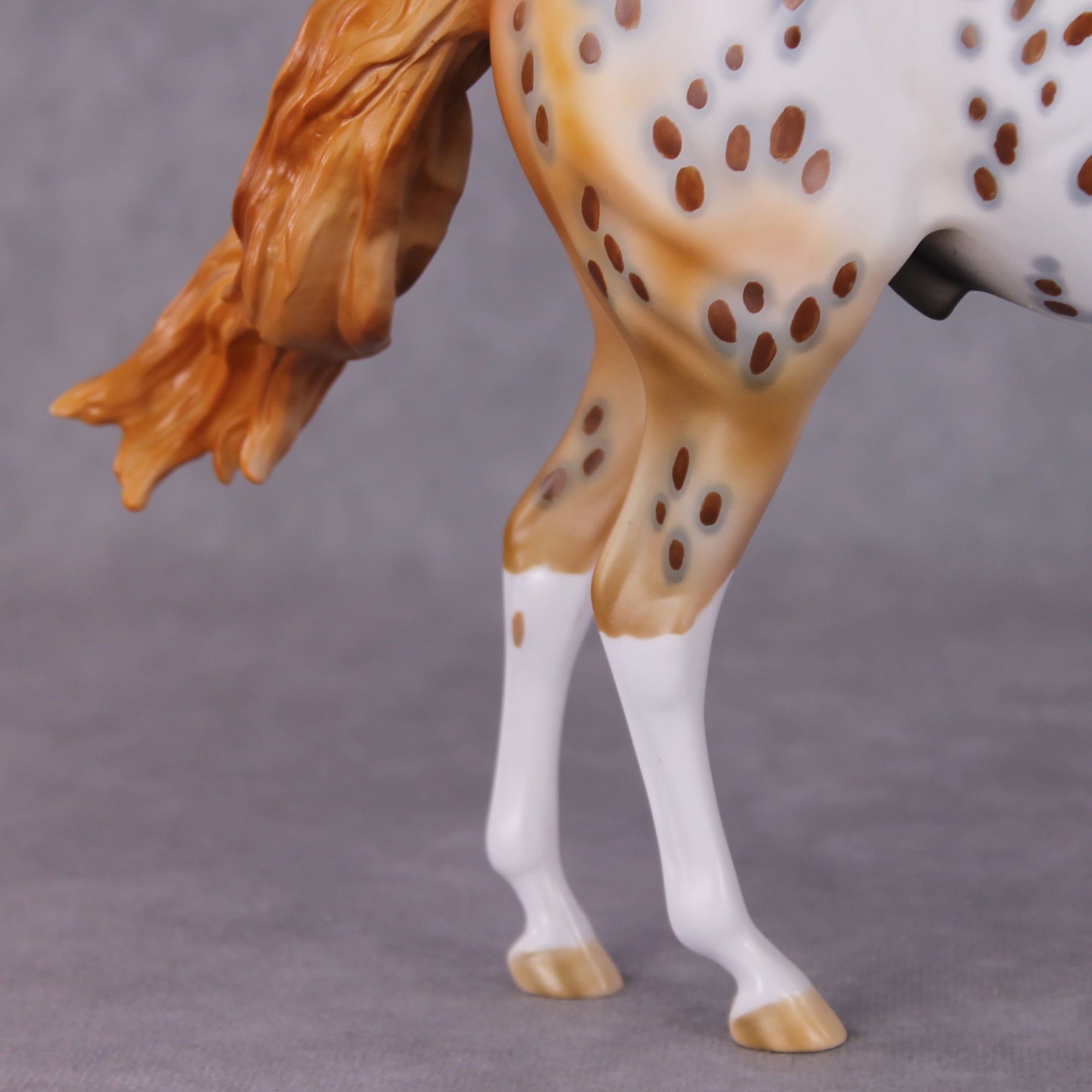 "Dragonfruit" OOAK FCM Andalusian By Dawn Quick SHCF25