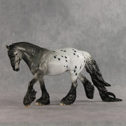Mista Spot OOAK Irish Cob by Dawn Quick DDOOAKs26