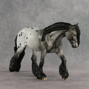 Mista Spot OOAK Irish Cob by Dawn Quick DDOOAKs26
