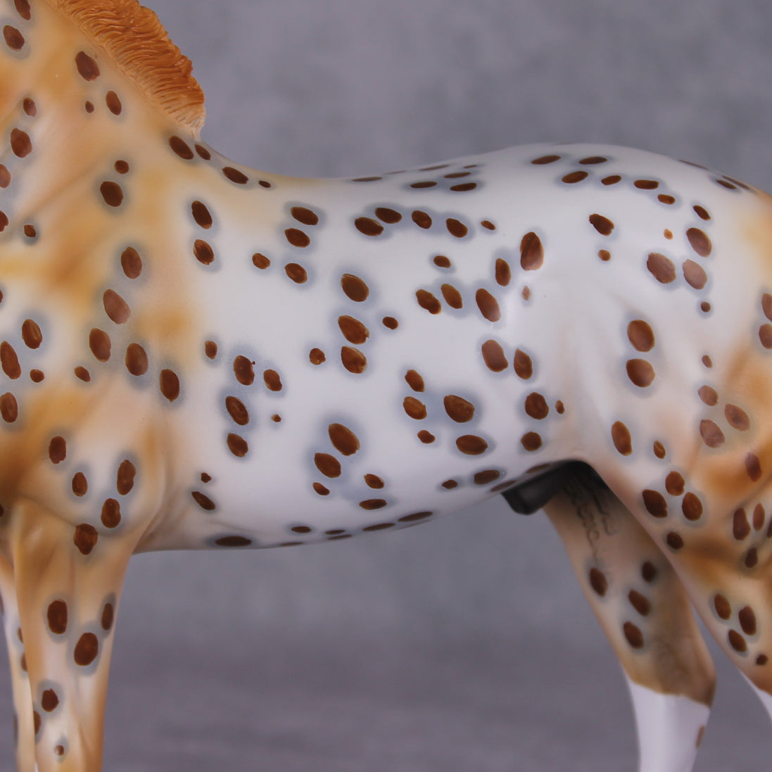 "Dragonfruit" OOAK FCM Andalusian By Dawn Quick SHCF25