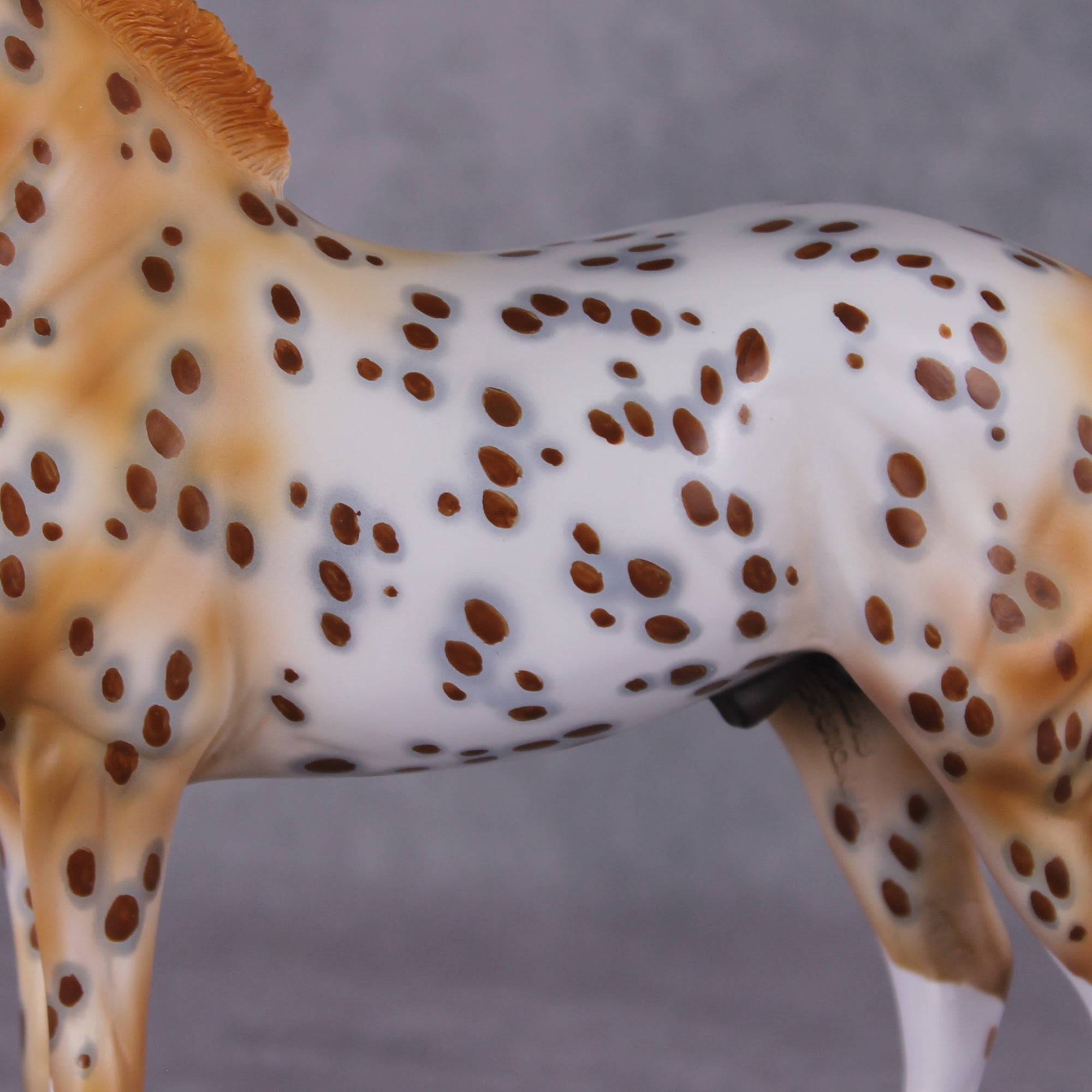 "Dragonfruit" OOAK FCM Andalusian By Dawn Quick SHCF25