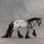 Mista Spot OOAK Irish Cob by Dawn Quick DDOOAKs26