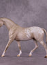 "Hadrian" OOAK FCM Pony by Julie Keim EQ25