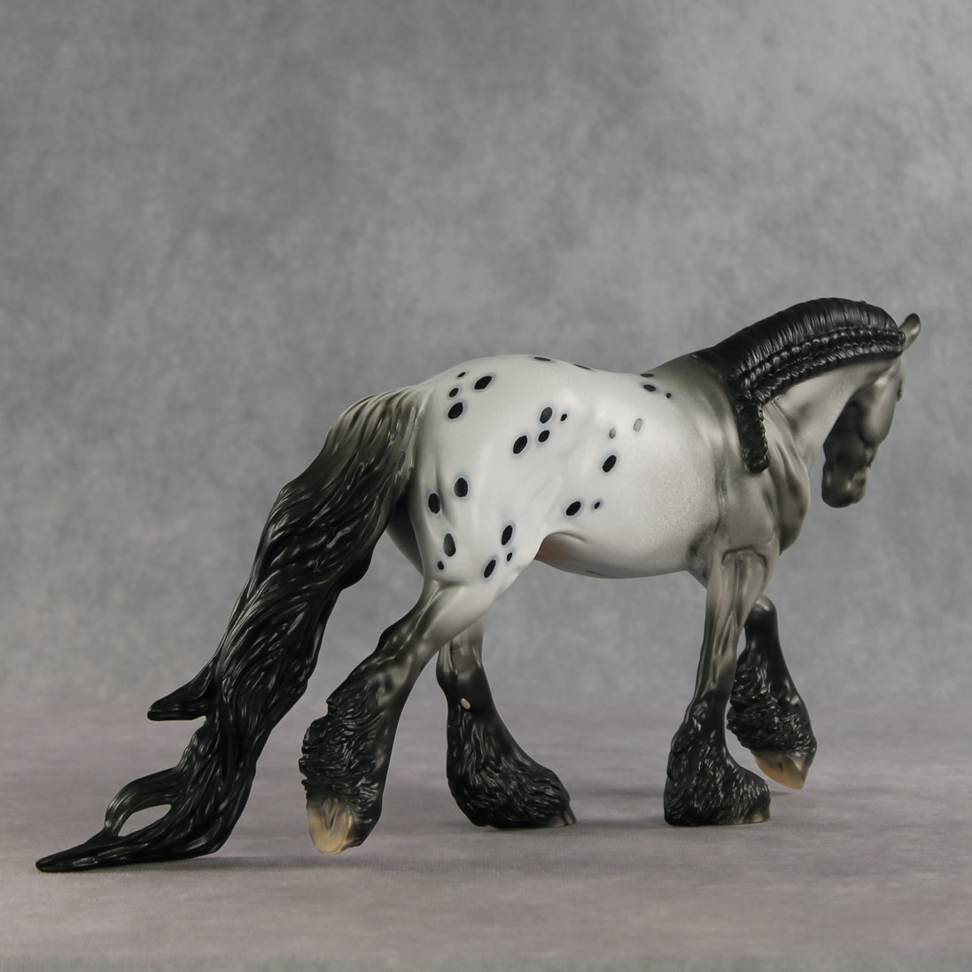 Mista Spot OOAK Irish Cob by Dawn Quick DDOOAKs26