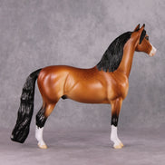 Wishing OOAK Dappled Bay Morgan By Ellen Robbins HS24