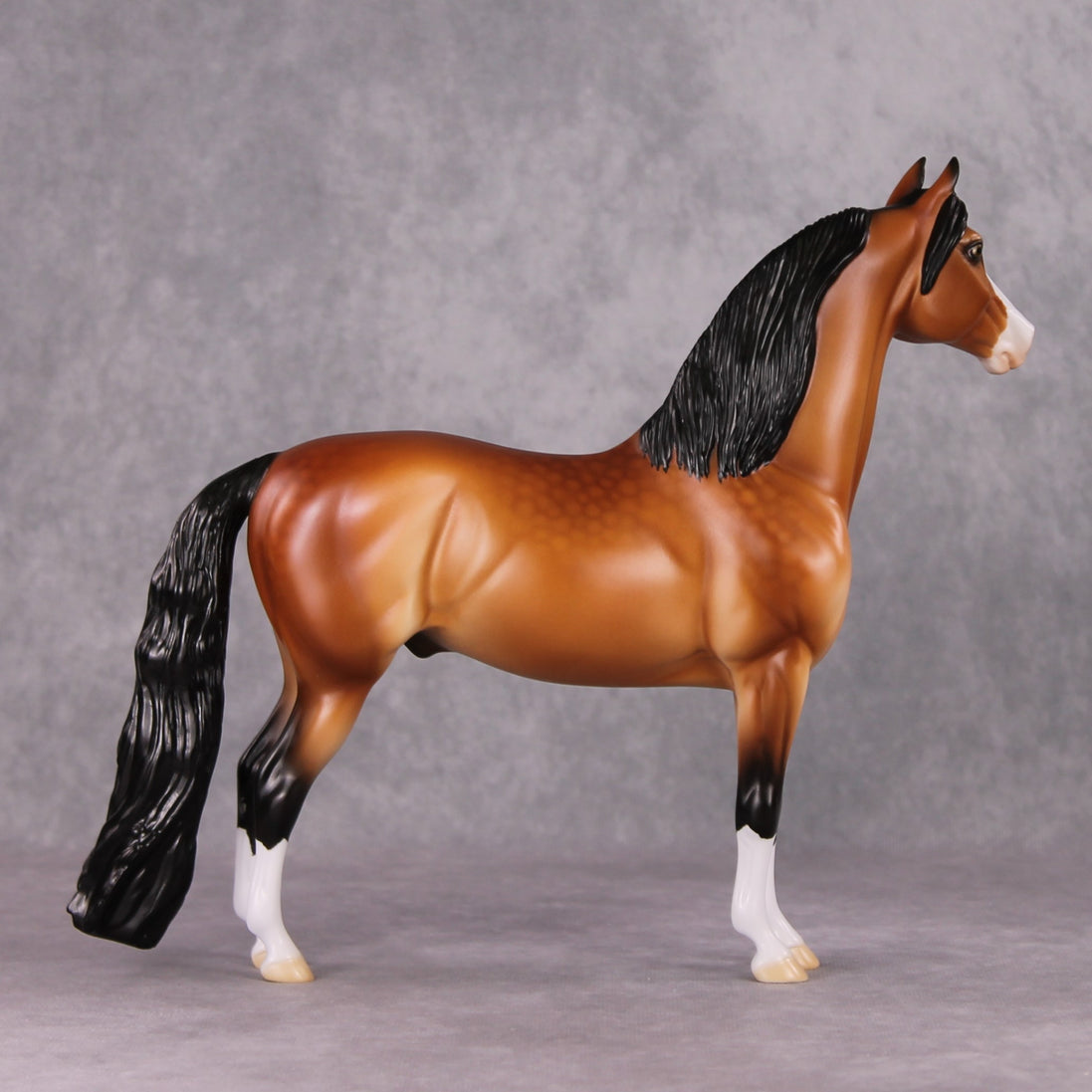 Wishing OOAK Dappled Bay Morgan By Ellen Robbins HS24