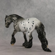Mista Spot OOAK Irish Cob by Dawn Quick DDOOAKs26