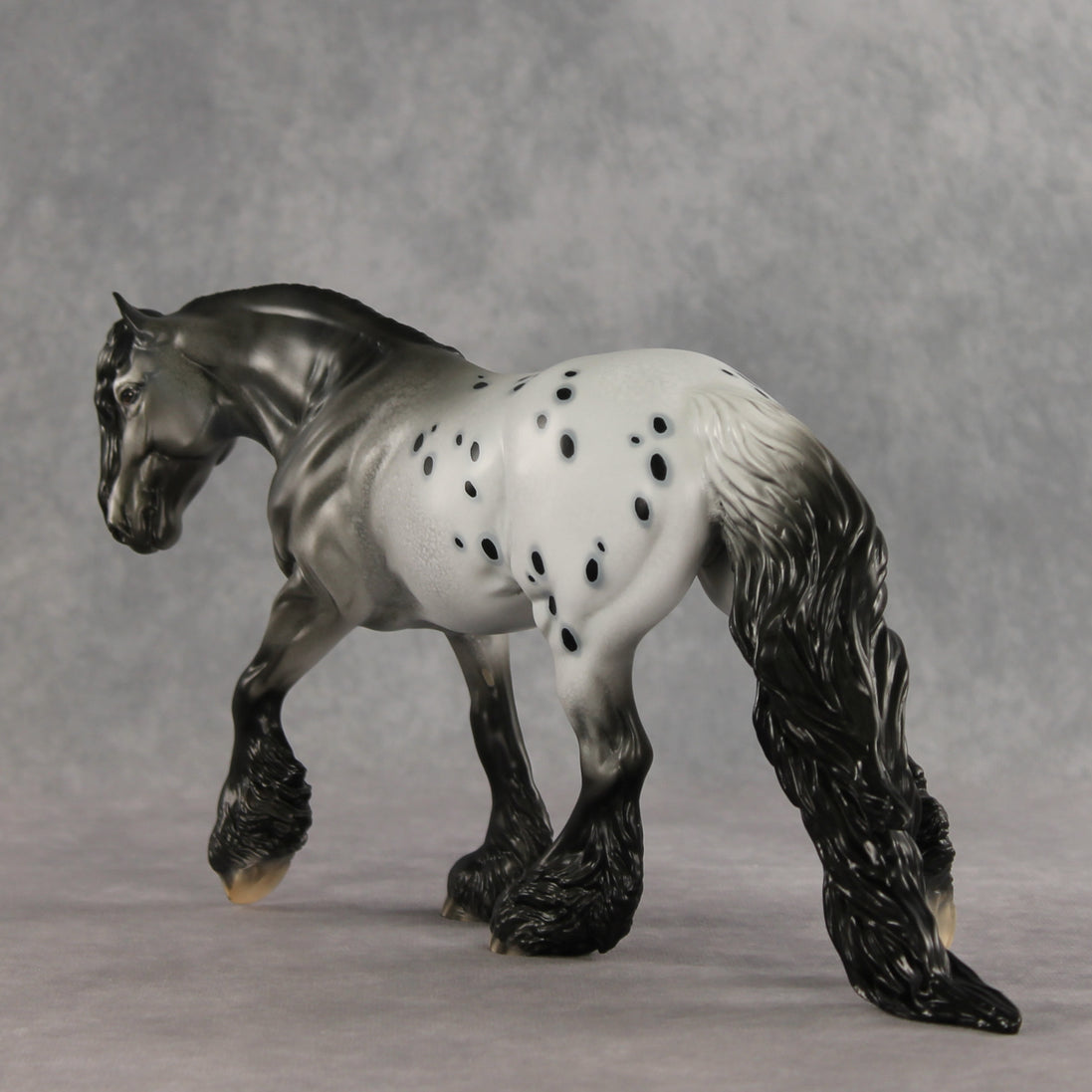 Mista Spot OOAK Irish Cob by Dawn Quick DDOOAKs26