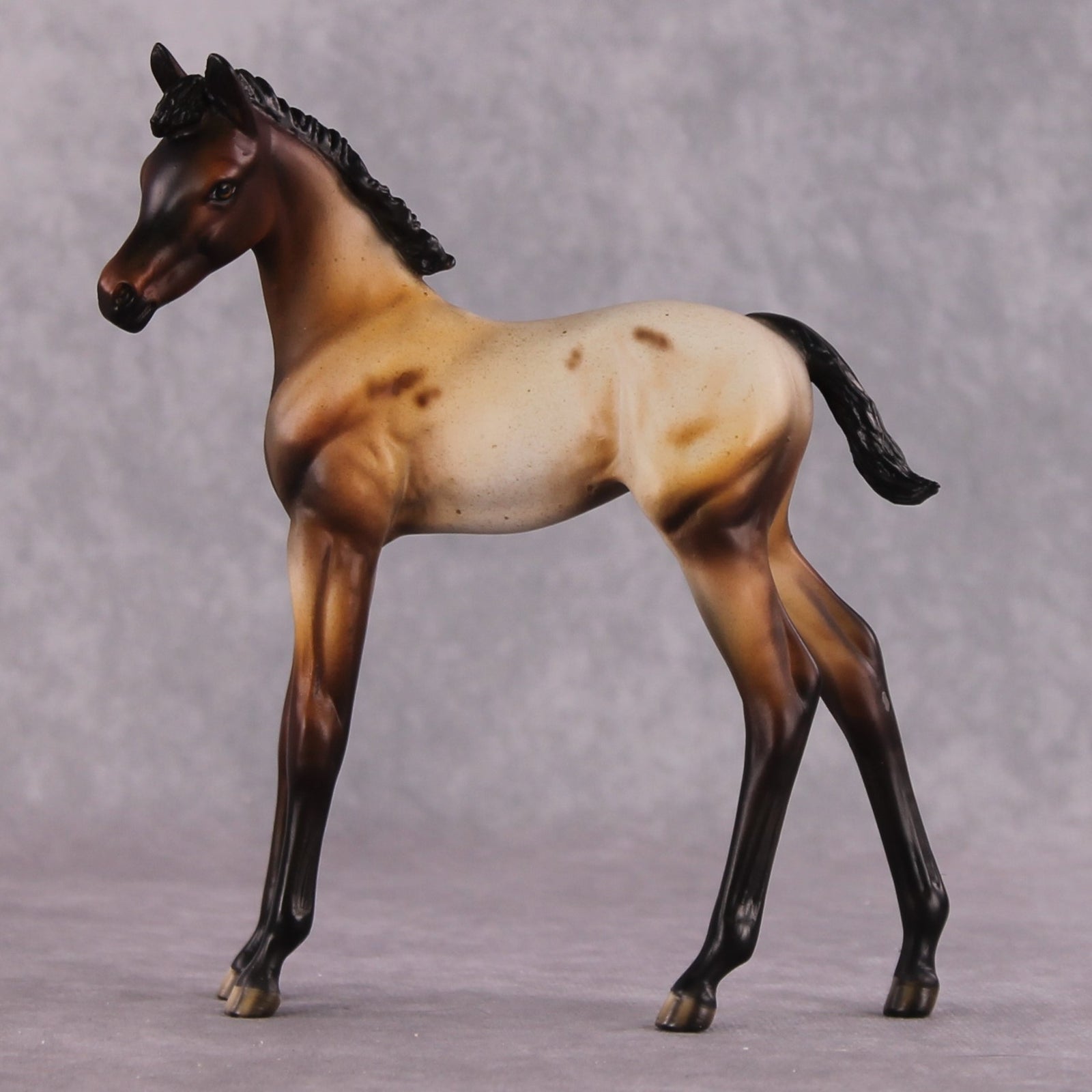 "Turnip" OOAK Arabian Foal by Dawn Quick SHCF25