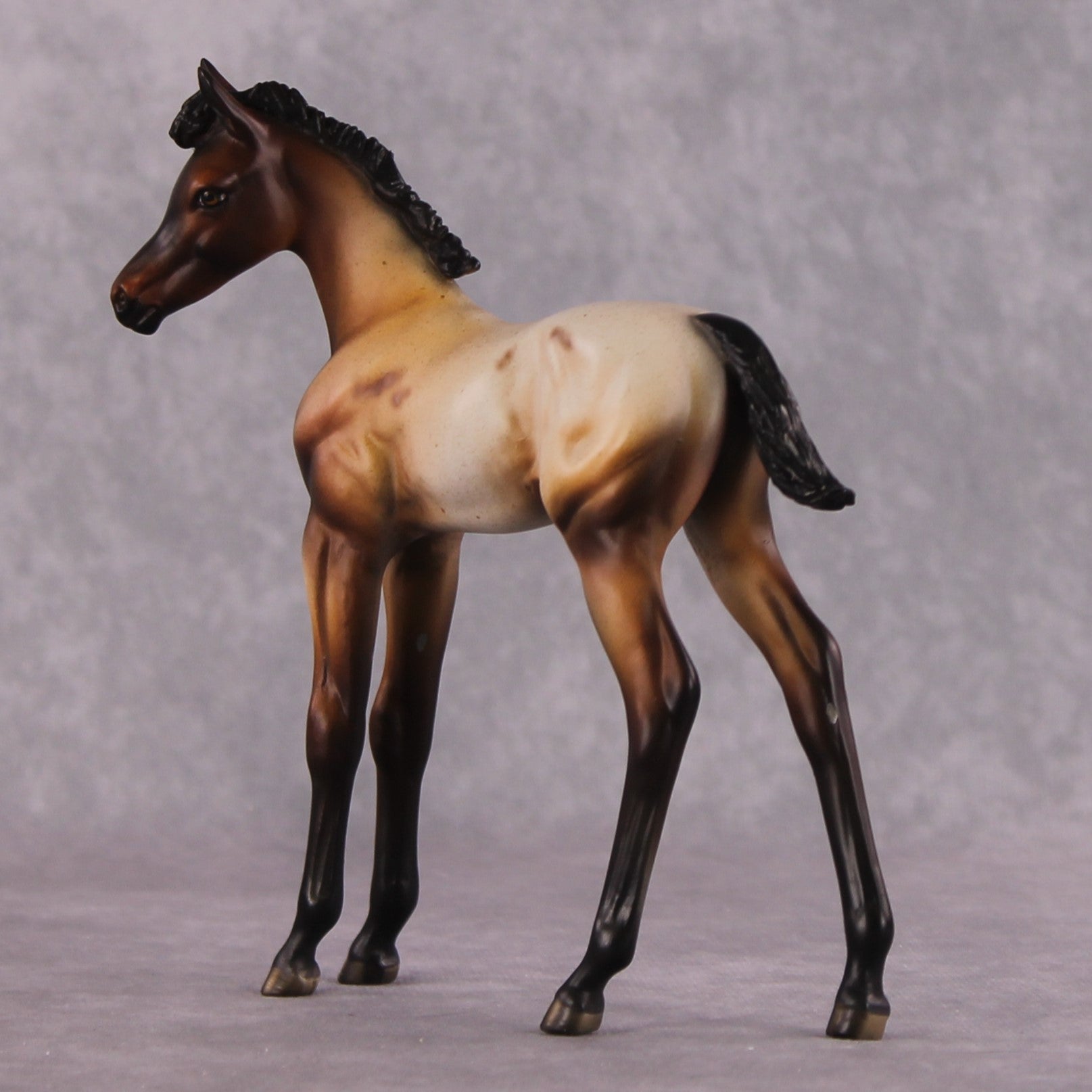 "Turnip" OOAK Arabian Foal by Dawn Quick SHCF25