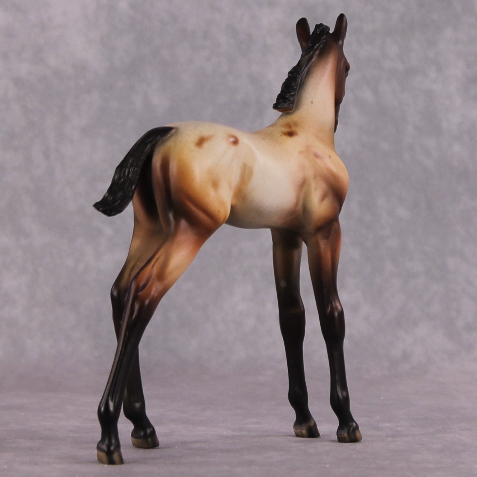 "Turnip" OOAK Arabian Foal by Dawn Quick SHCF25