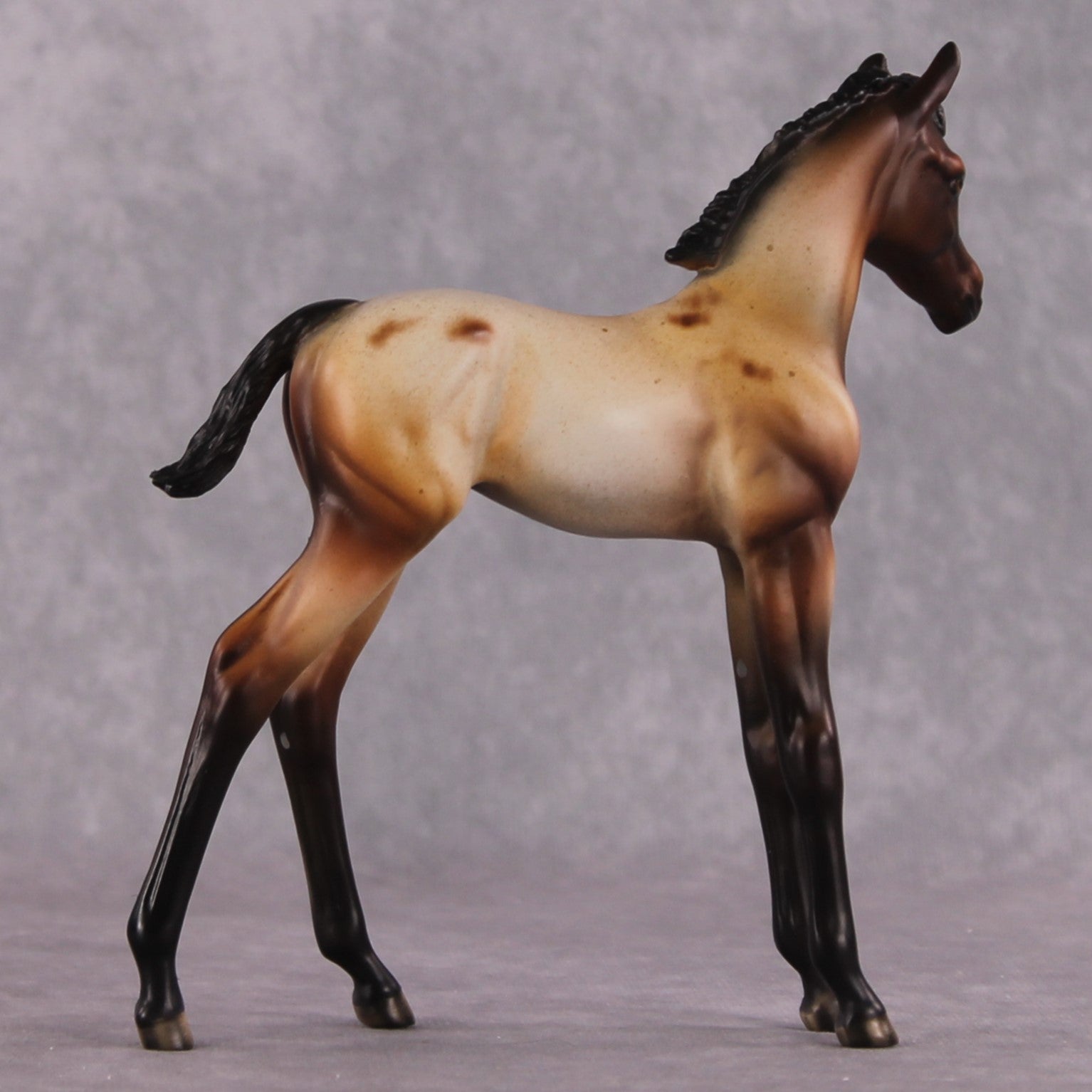 "Turnip" OOAK Arabian Foal by Dawn Quick SHCF25