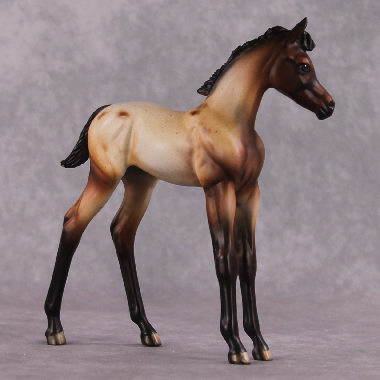 "Turnip" OOAK Arabian Foal by Dawn Quick SHCF25