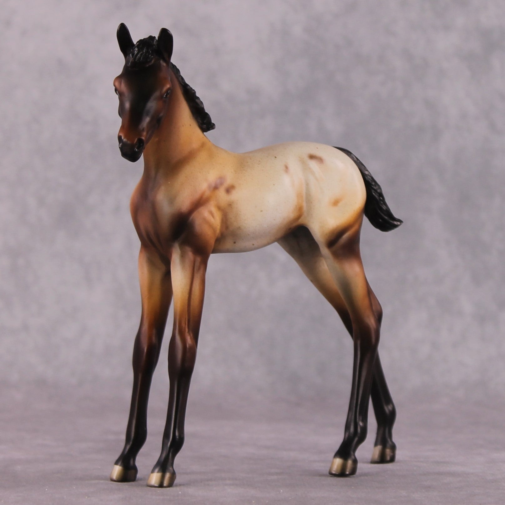 "Turnip" OOAK Arabian Foal by Dawn Quick SHCF25