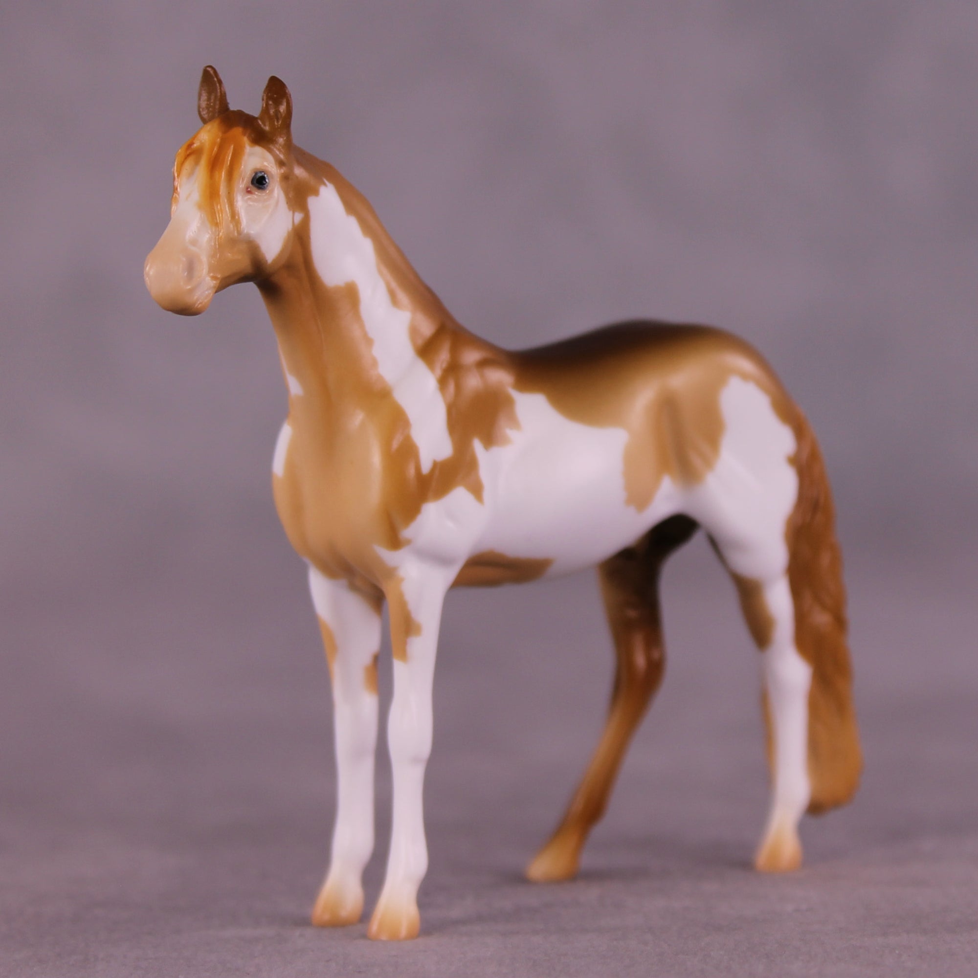 Ex Parte LE-5 Chip Andalusian by Erin Corbett September $99 Chips