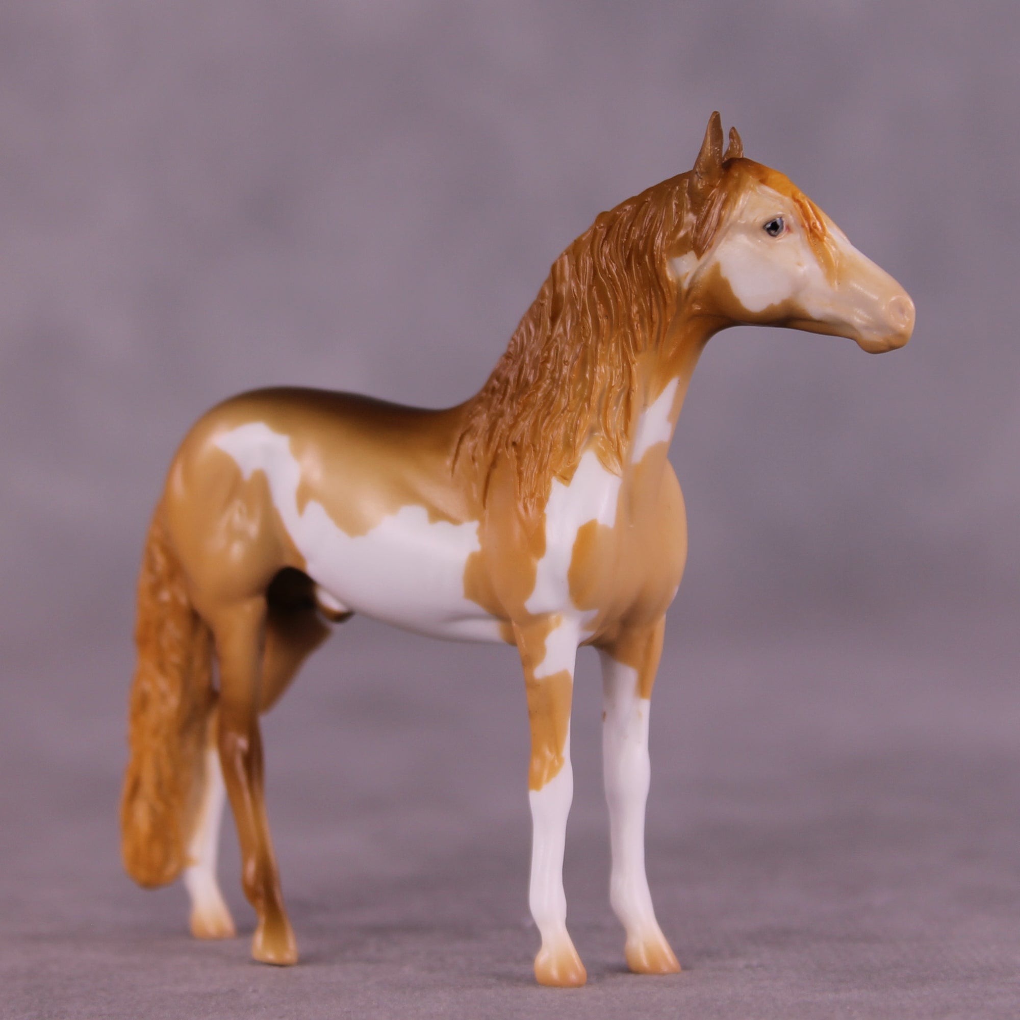 Ex Parte LE-5 Chip Andalusian by Erin Corbett September $99 Chips