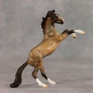 Marcos LE-5 Chip Mustang by Julie Keim March $99 Chips